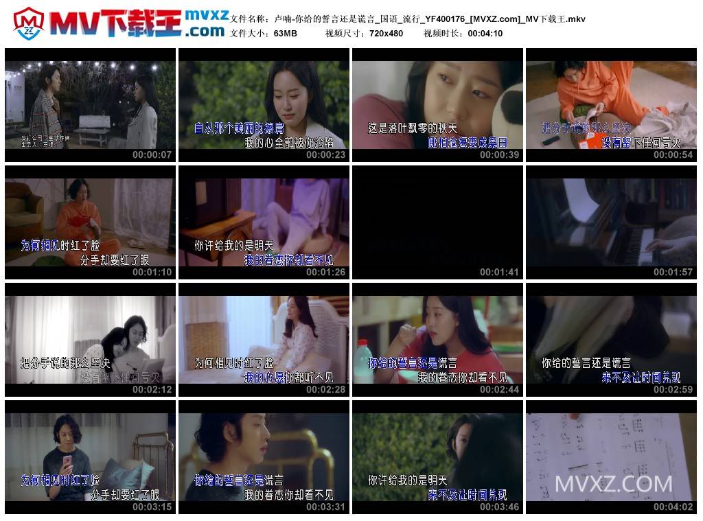 卢喃-你给的誓言还是谎言_国语_流行_YF400176
